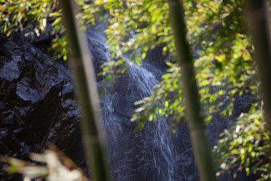 《控制》衍生合作FPS《FBC：Firebreak》5月15日封测开启