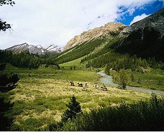 《消逝的光芒：困兽》已正式发售 发售宣传片公布